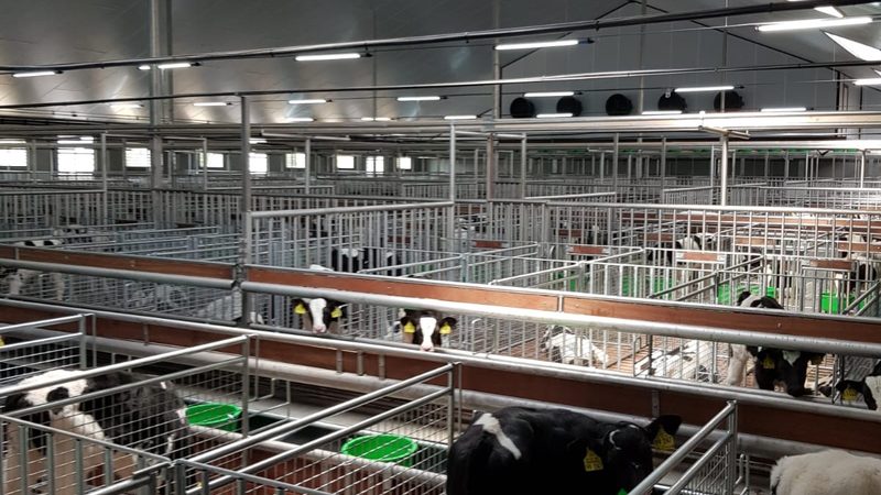 抖音选品中心入驻需要营业执照吗